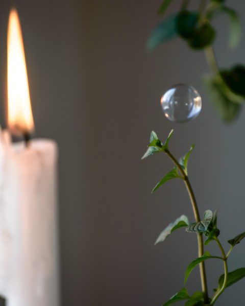 Spiritual Growth in Today’s Biblical Camps