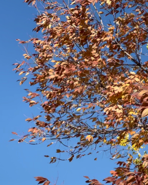 Appreciating Blessed and Recognizing Blessings