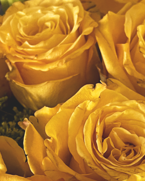 Spiritual Thoughts of Faith and Human Understanding