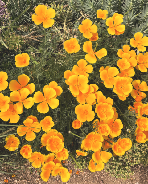 But Wait…There’s More