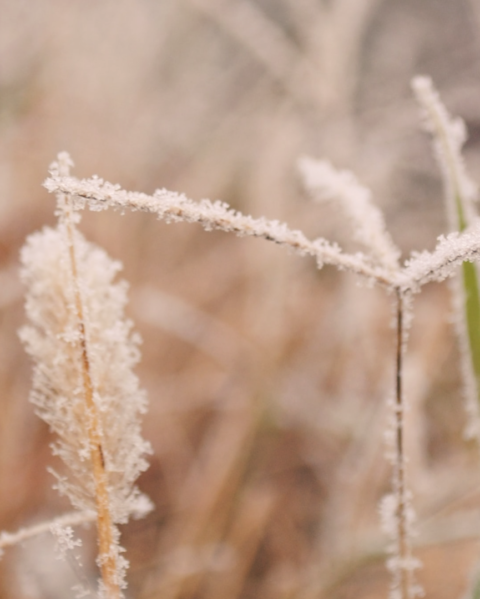 To Seek and Find Peace