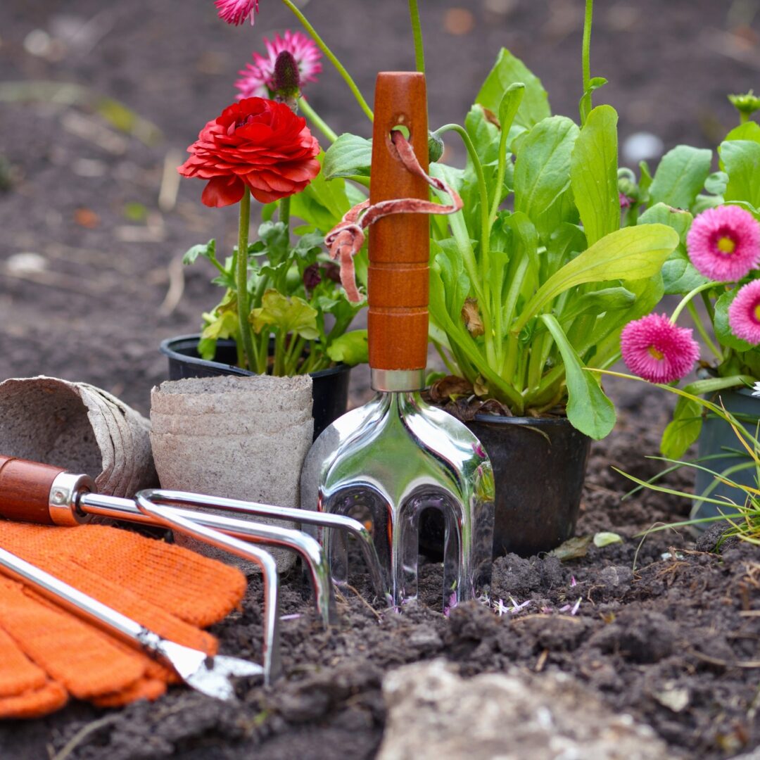 Gardening tools and spring flowers in the garden. Gardening concept.