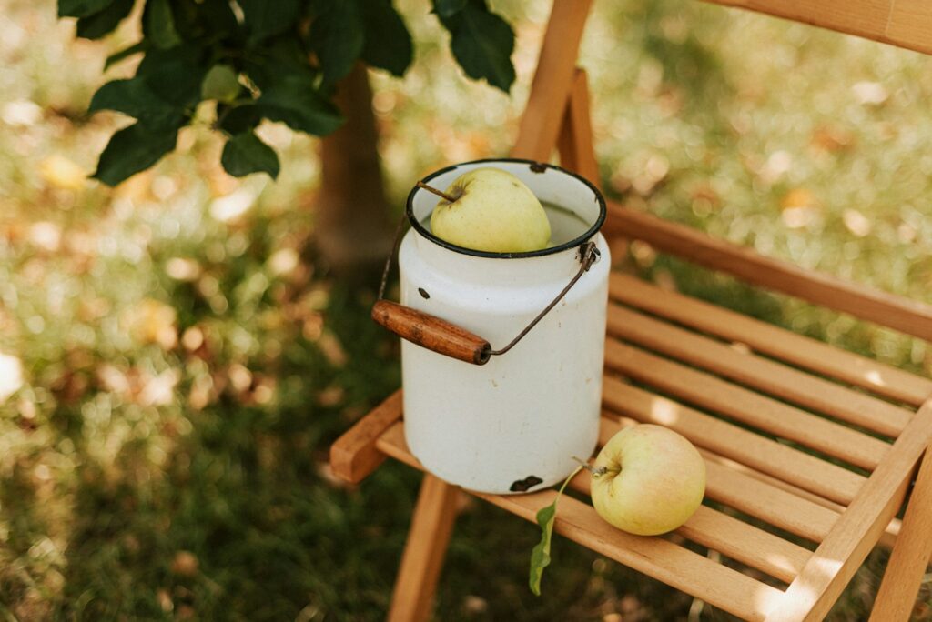 A bucket of apples sitting on top of a wooden bench