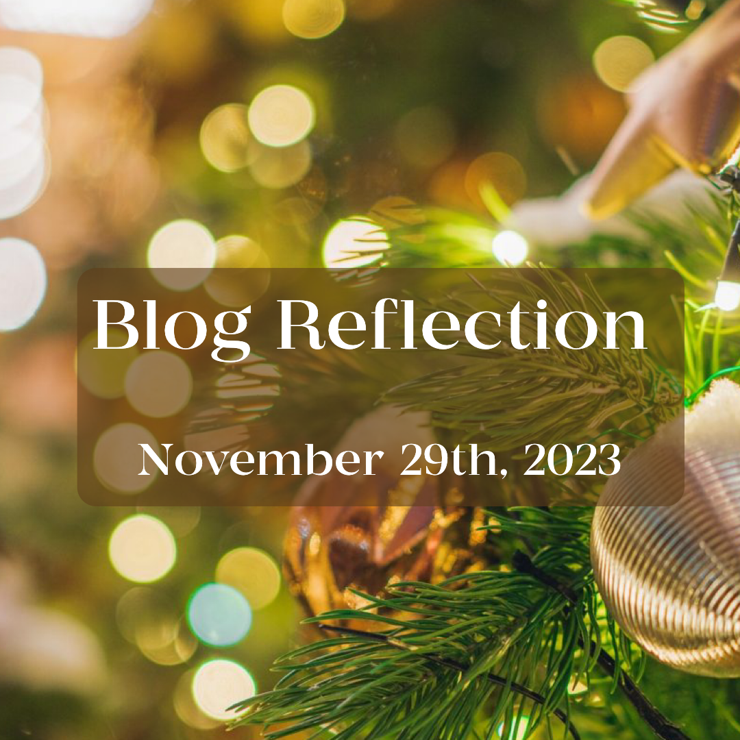 BF Nov 2923-0
