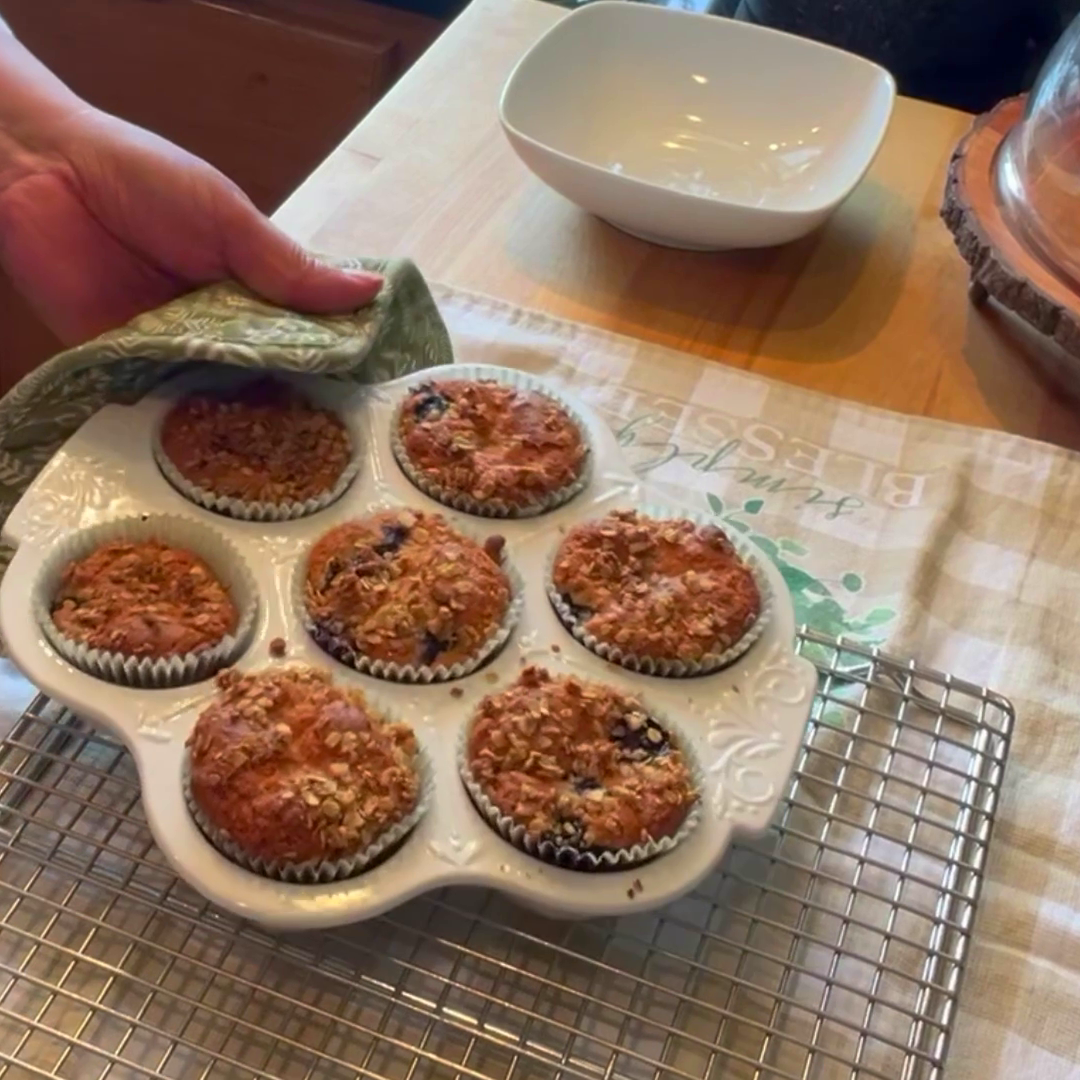 Blueberry Muffins Snapshot