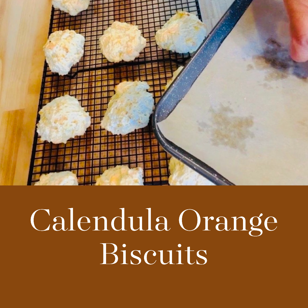 New CalOr biscuit -0