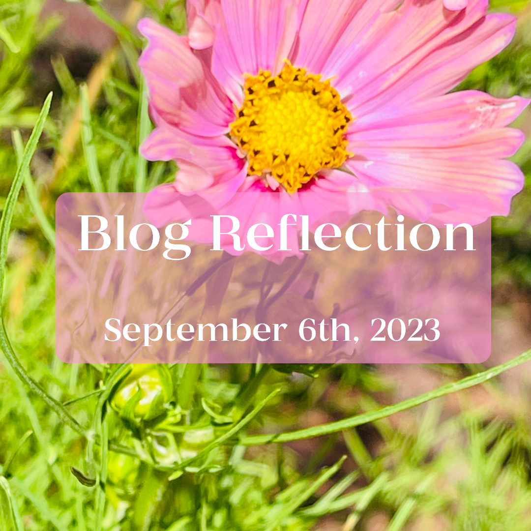 New reflection pic-0