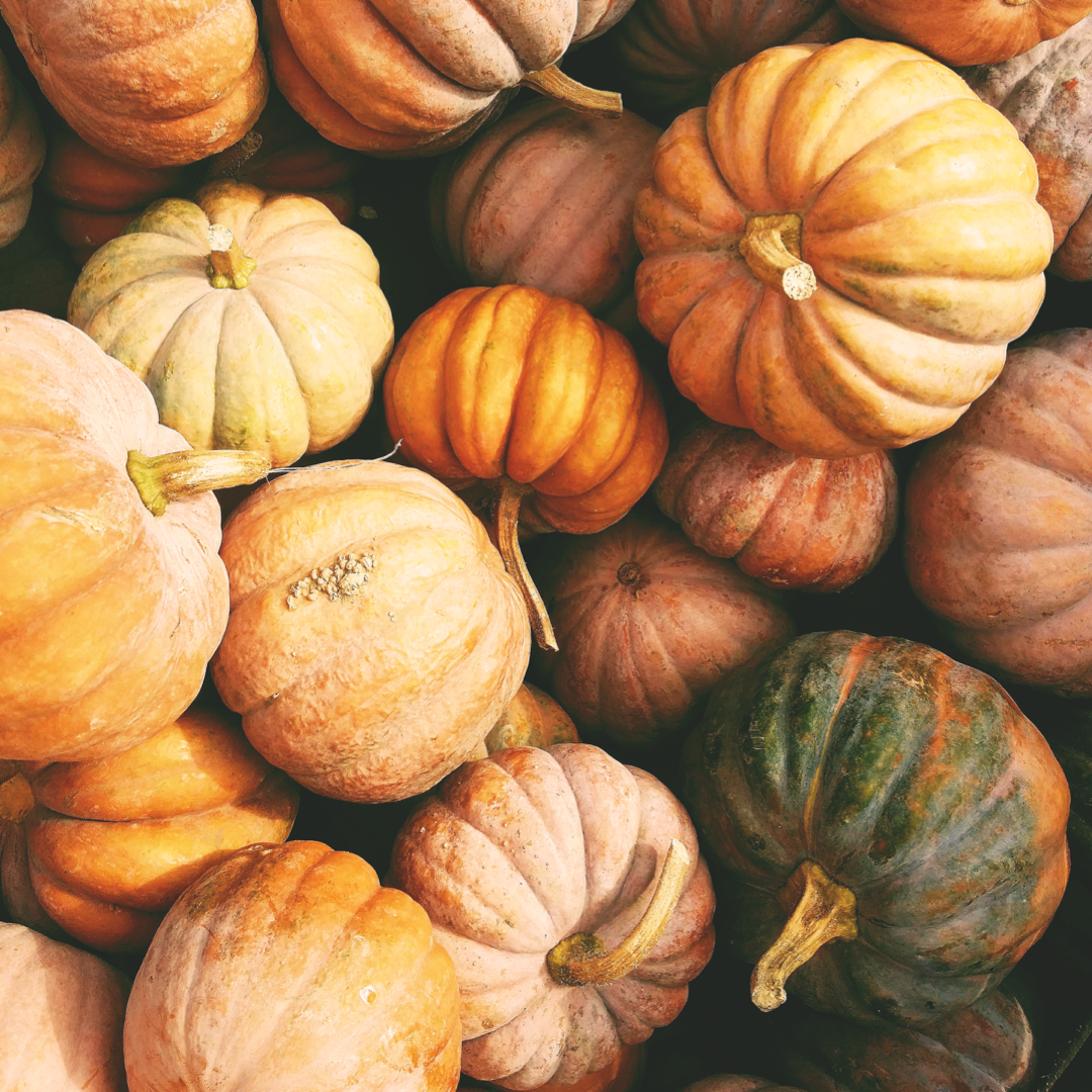 Pumpkins-0