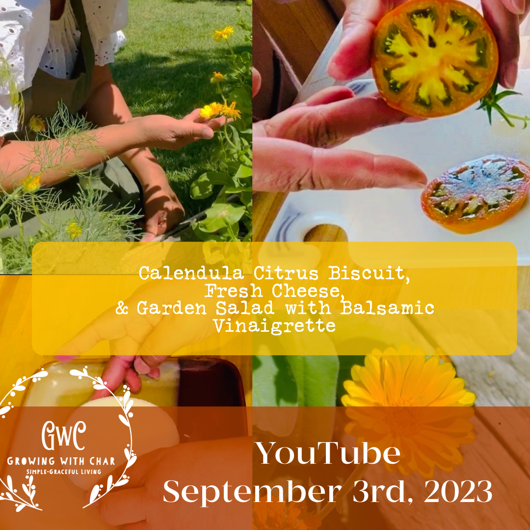 YT September 3-23-0