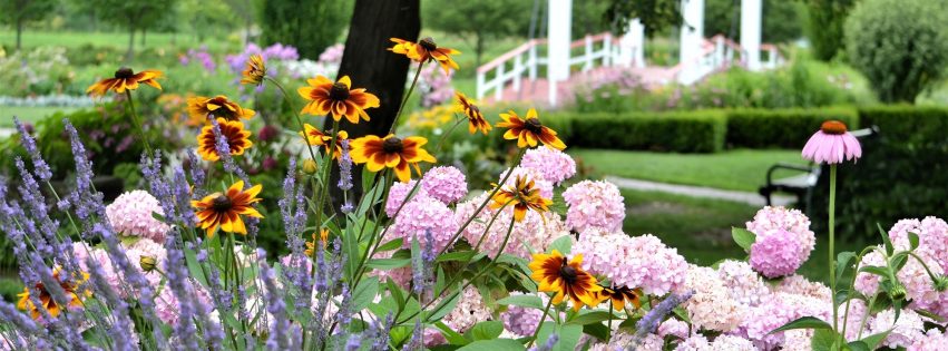Summer flower garden
